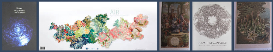 Curated Exhibitions, Books and Lectures by Cyril Coetzee